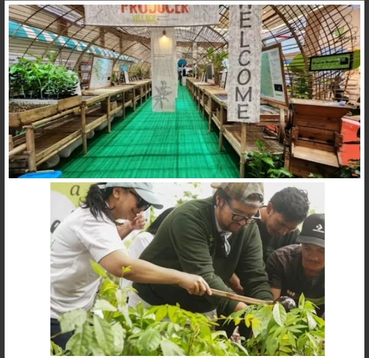 Roemah Indonesia di Amsterdam Coffee Festival 2026